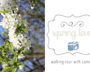 Eine Wanderung in den Mai. { a walking - tour with camera }