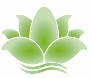 Salatgurke-Sellerie-Brokkoli-Saft: Grünes Licht für alle Organe!