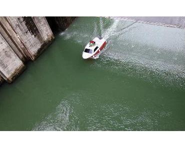 Süddeutschland: keine Tapeten, aber ein Mückengesicht