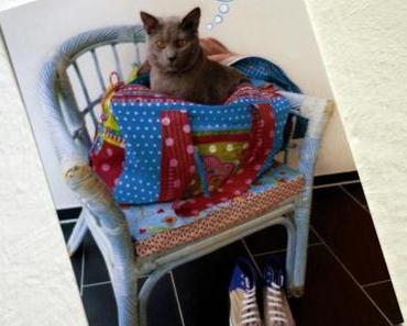 {Gleich gehts los}- An der Nordsee