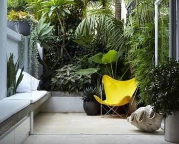 Butterfly, my Butterfly...