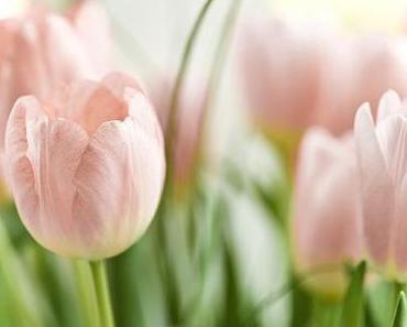 Spring Review