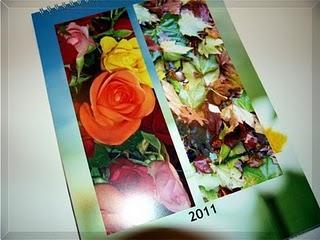wallpaper-1689754