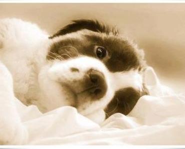 endlich *smile* …….