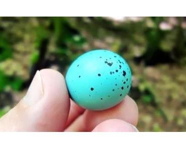 blaues Ei und blinder Vogel