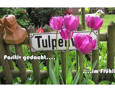 Positiv gedacht – Woche 24/2013