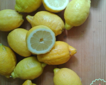 Sardischer Zitronenkuchen