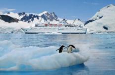 Kleines Schiff, große Winterreise: mit MS Delphin 144 Tage durch Antarktis, Südamerika und Karibik
