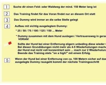 Training auf dem Prüfstand