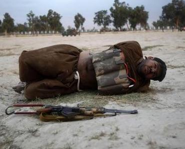 Mitleid oder Verachtung?