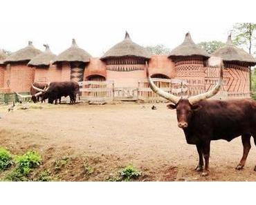 Benelux: der Geier im Schafspelz