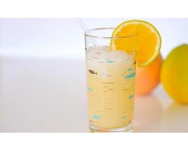 Grapefruit-Sirup fructosefrei mit Orangen- & Limettenaroma