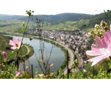 Benelux: Wein, Berg und Schweiss