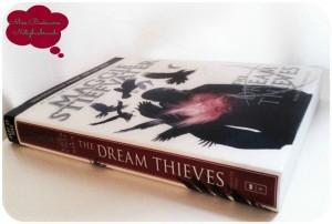 [Notizbuchrunde] Nightingale’s Lit-Intermezzo mit “The Dream Thieves” ~ Maggie Stiefvater