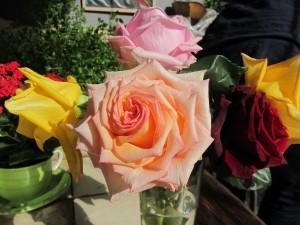 Die Rose – Für die Liebe, den Gaumen und die Gesundheit