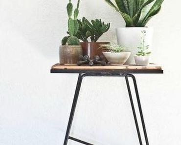 Zimmerpflanzen...nein, danke !