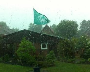 [Gesehen, gehört, getan, ...] #4