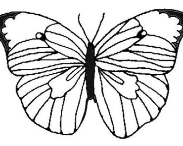 Der Schmetterling ✡ Ein Gedicht von Pavel Friedman