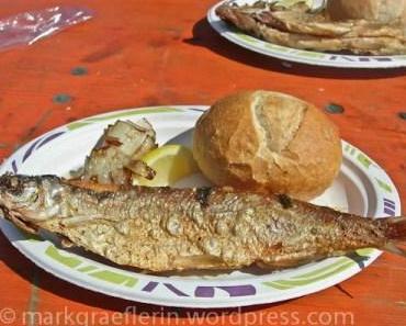 3,5 km im Rhein, unter zwei Brücken durch und im Ziel gibt’s feine Felchen