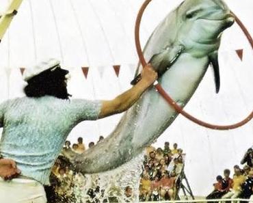 Safariland Wallerstädten.