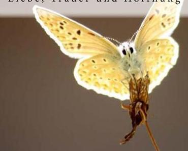 [Rezension] „Schmetterlingspoesie 1-3“, Michael „Bundy“ Roth (CreateSpace)