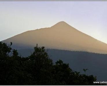 Verliebt in Teneriffa