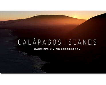 Google StreetView: Galápagos-Inseln bewandern