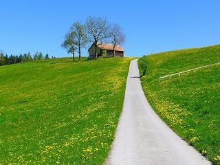 wallpaper-1689754