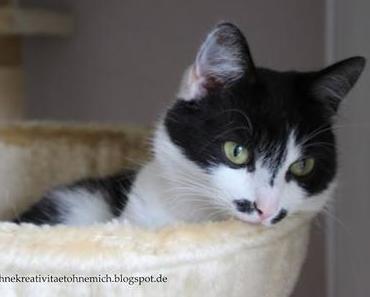 Ohne Kreativität, ohne mich! - meets SeelenSachen