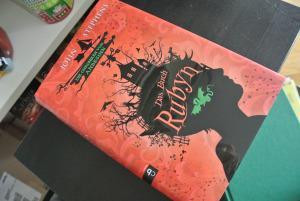 Rubyn (Die Chroniken von Anbeginn 02)