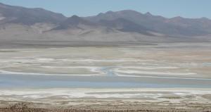 Der Nationalpark Salzsee “Huasco”