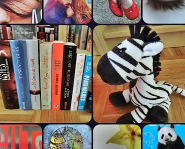 Bücherzuwachs September 2013 - Teil 3