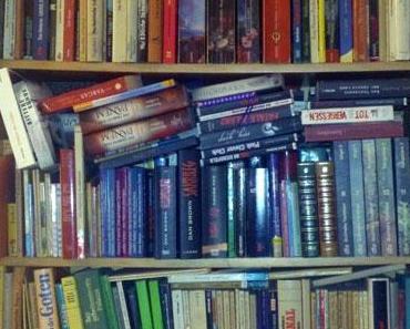 100 Dinge, an denen du erkennst, … (Stöckchen über das Lesen)