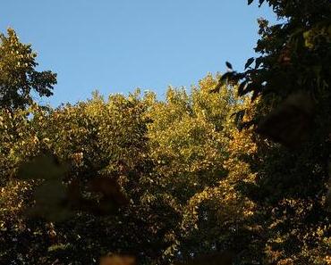 Herbst
