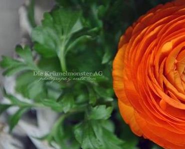 beauty is where you find it | orange