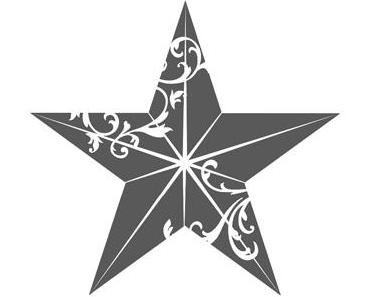 Christmas Star ……