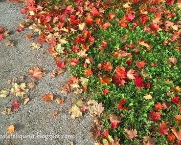 Herbst – It’s gettin’ fall!
