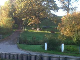Vom Herbst, Backen und was ich entdeckt habe :)