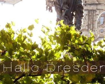 Die letzten Sonnenstrahlen, einfangen - Dresden