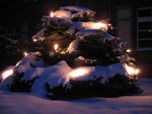 Und diesmal steht bei mir ein Weihnachtsbaum