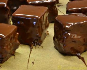 Projekt Dominosteine 2013