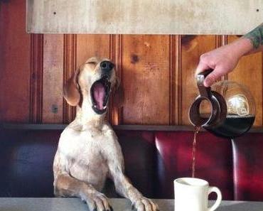 Weihnachts~Kreativ~Urlaub ……