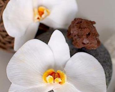 Tutorial: Orchideen aus Blütenpaste