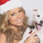 Sonntagsbrunch Christmas Edition