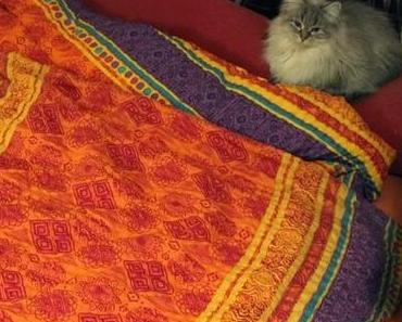 [Frage]: Biber, Linon oder Jersey – welche Bettwäsche habt ihr?