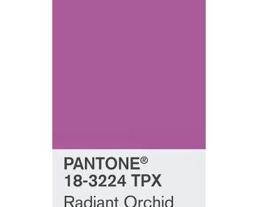 "Radiant Orchid".............