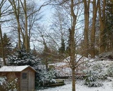 Finale - Mein 12tel Blick im Dezember