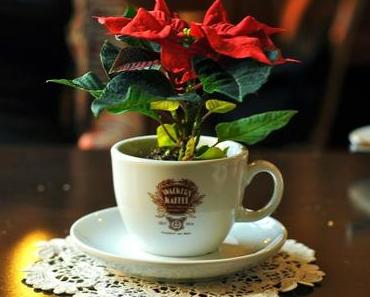 Daily Little Things…