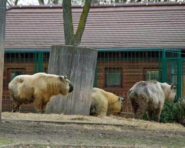 Tierpark Berlin (Fotos 3)