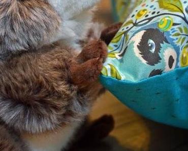 Waschbärkissen | Raccoon Pillow